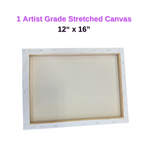 Mommy and Baby Owl at home Painting Kit and Video Tutorial